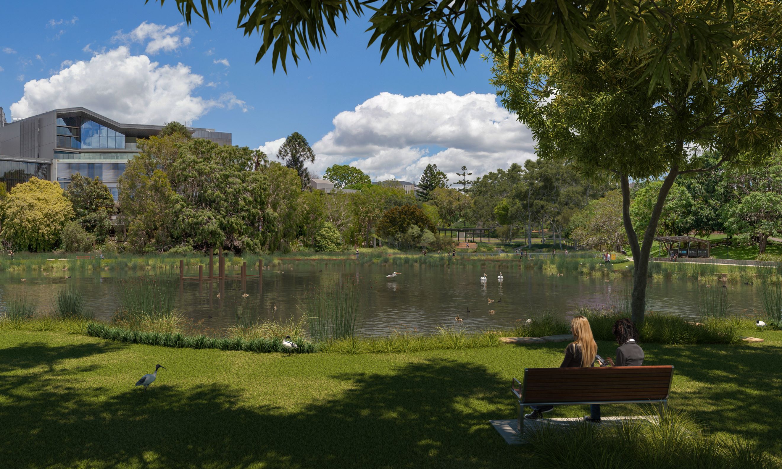 Concept art of the redeveloped UQ lake