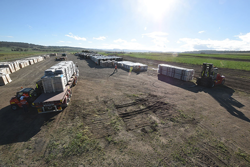 Warwick Solar Farm site works March 2019