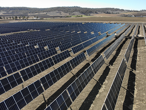 Warwick Solar Farm - August 2019